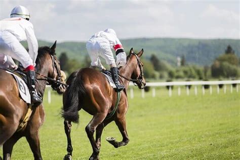 Durban July 2023 Preview and Betting Tips .